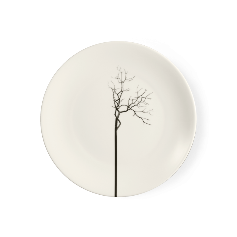 BLACK FOREST PLATE 26