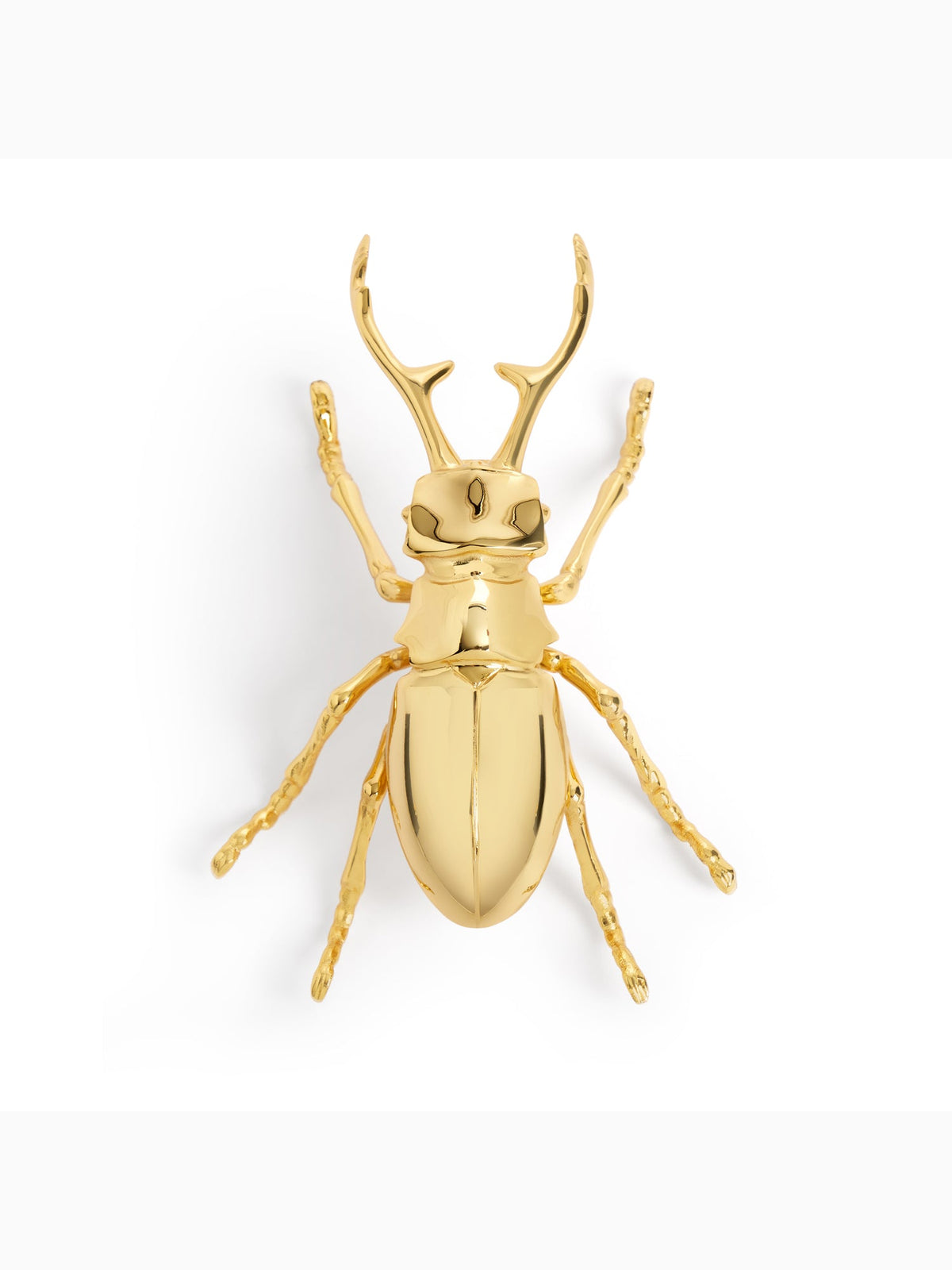 Longhorn Bottle Opener, L'Objet