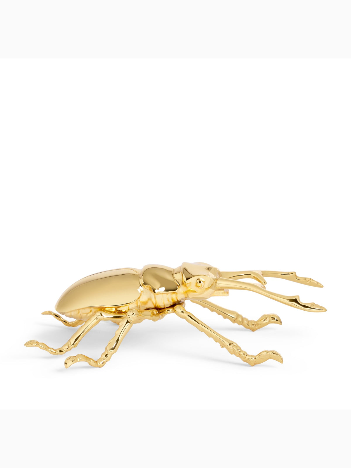 Longhorn Bottle Opener, L'Objet (5)