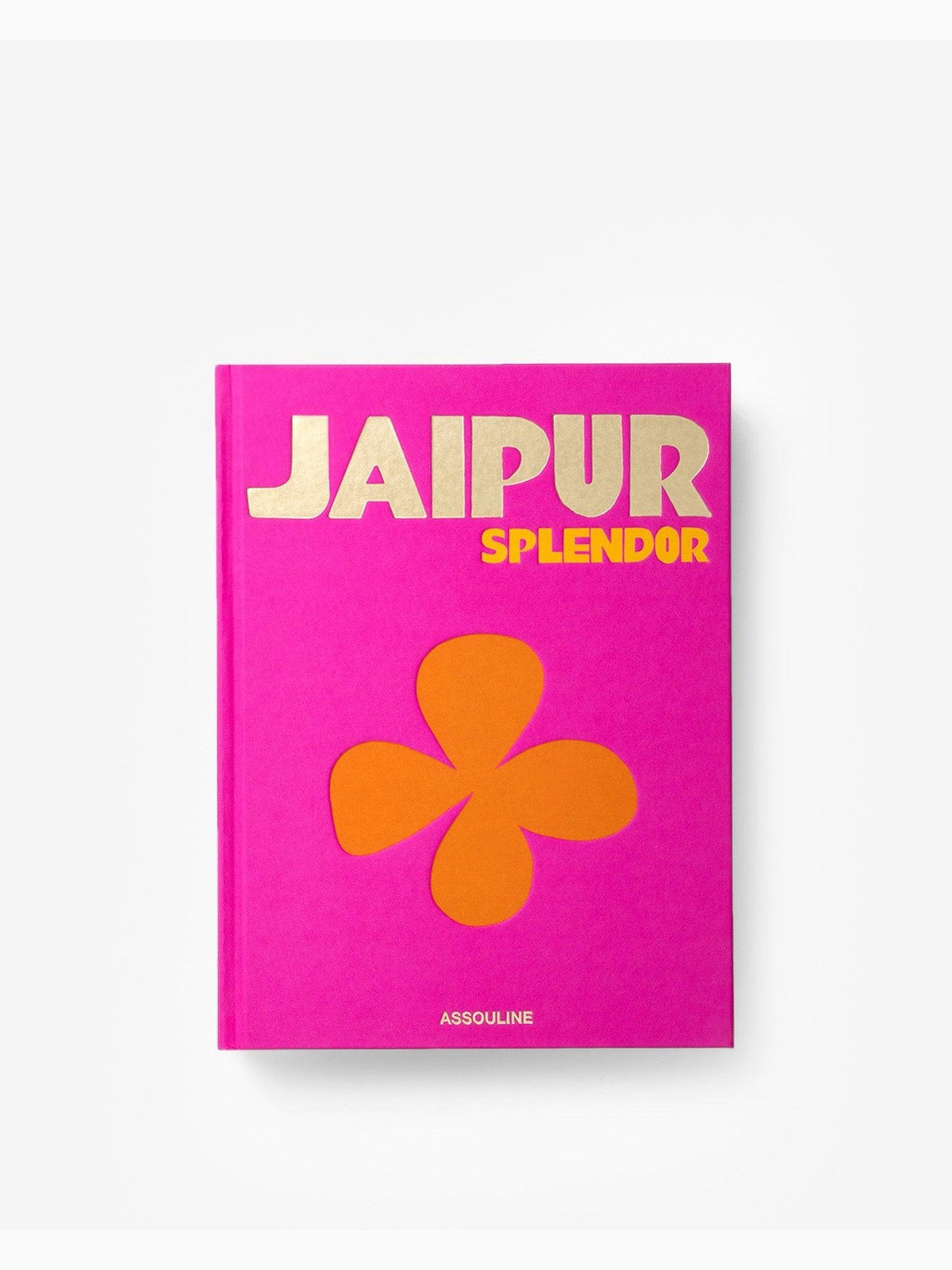Jaipur Splendor, Assouline (3)