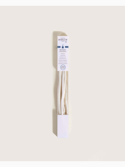 Willow Reeds for Diffuser, Natural White 21 cm, Lampe Berger (2)
