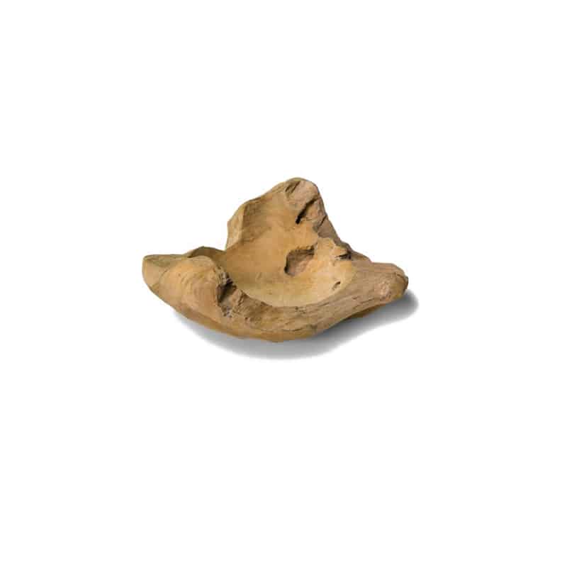 Amelia Teak Root Bowl, Sempre
