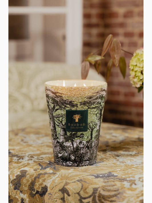 Sacred Trees Touba Scented Candle, Max 24, Baobab Collection (2)