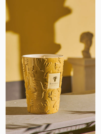 Paz Dove Scented Candle, Max 16, Baobab Collection (4)