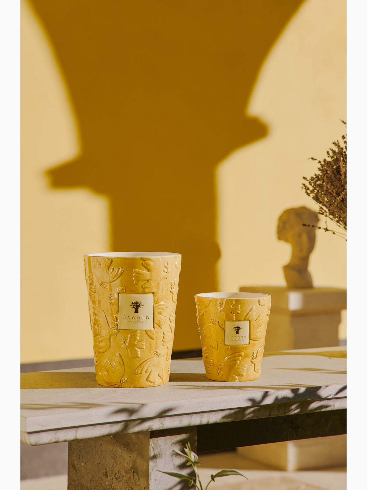 Paz Dove Scented Candle, Max 10, Baobab Collection (2)