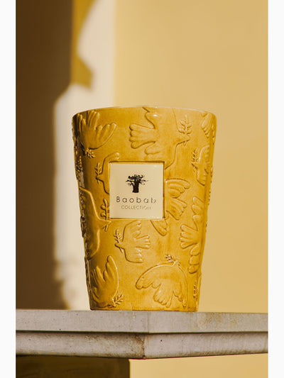 Paz Dove Scented Candle, Max 10, Baobab Collection (3)