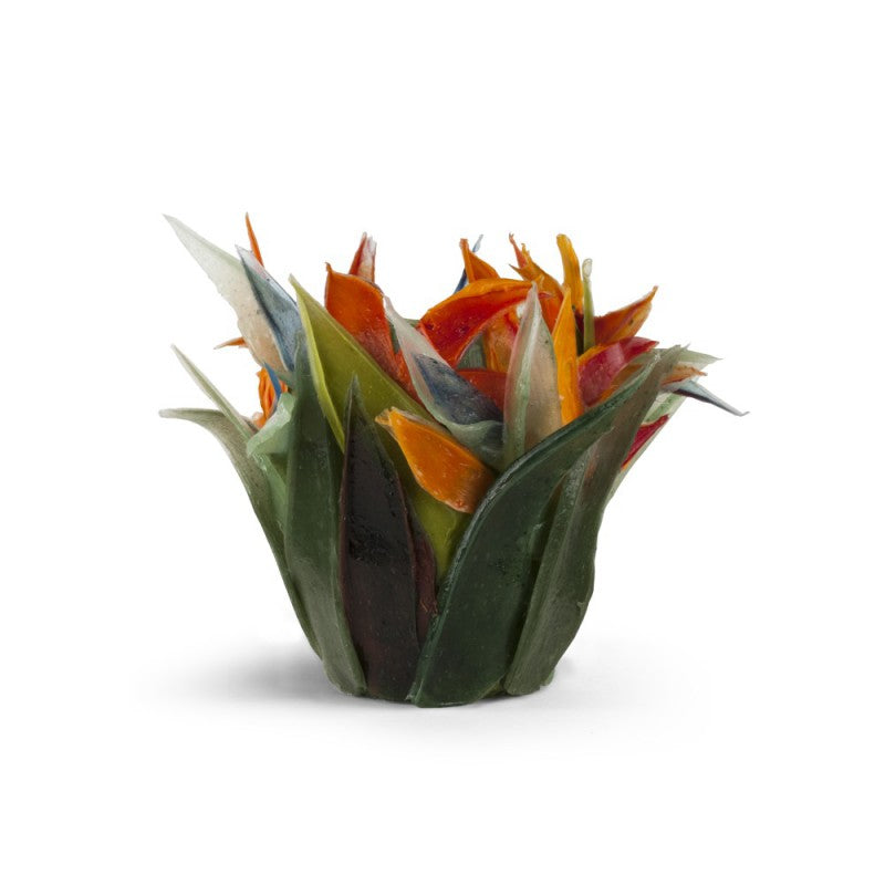 BIRD OF PARADISE VASE
