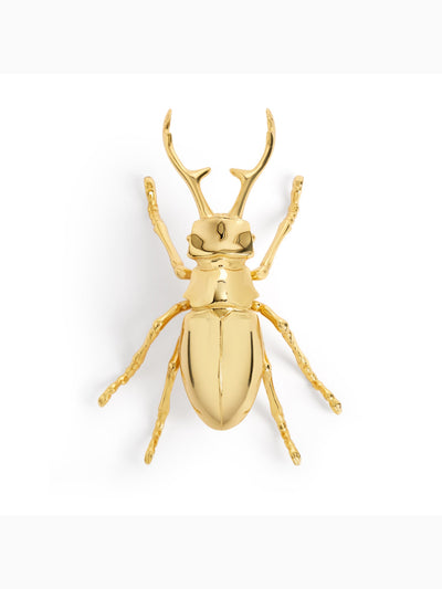 Longhorn Bottle Opener, L'Objet