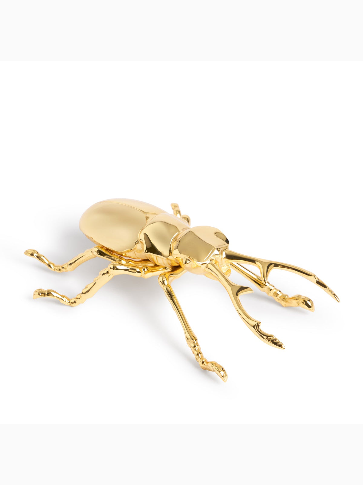 Longhorn Bottle Opener, L'Objet (4)