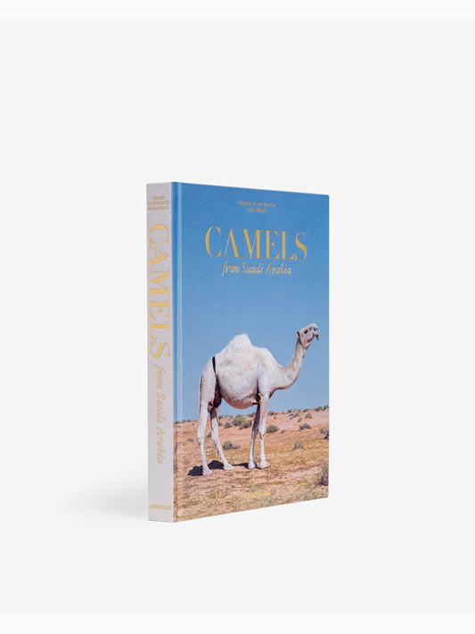 Camels from Saudi Arabia, Assouline