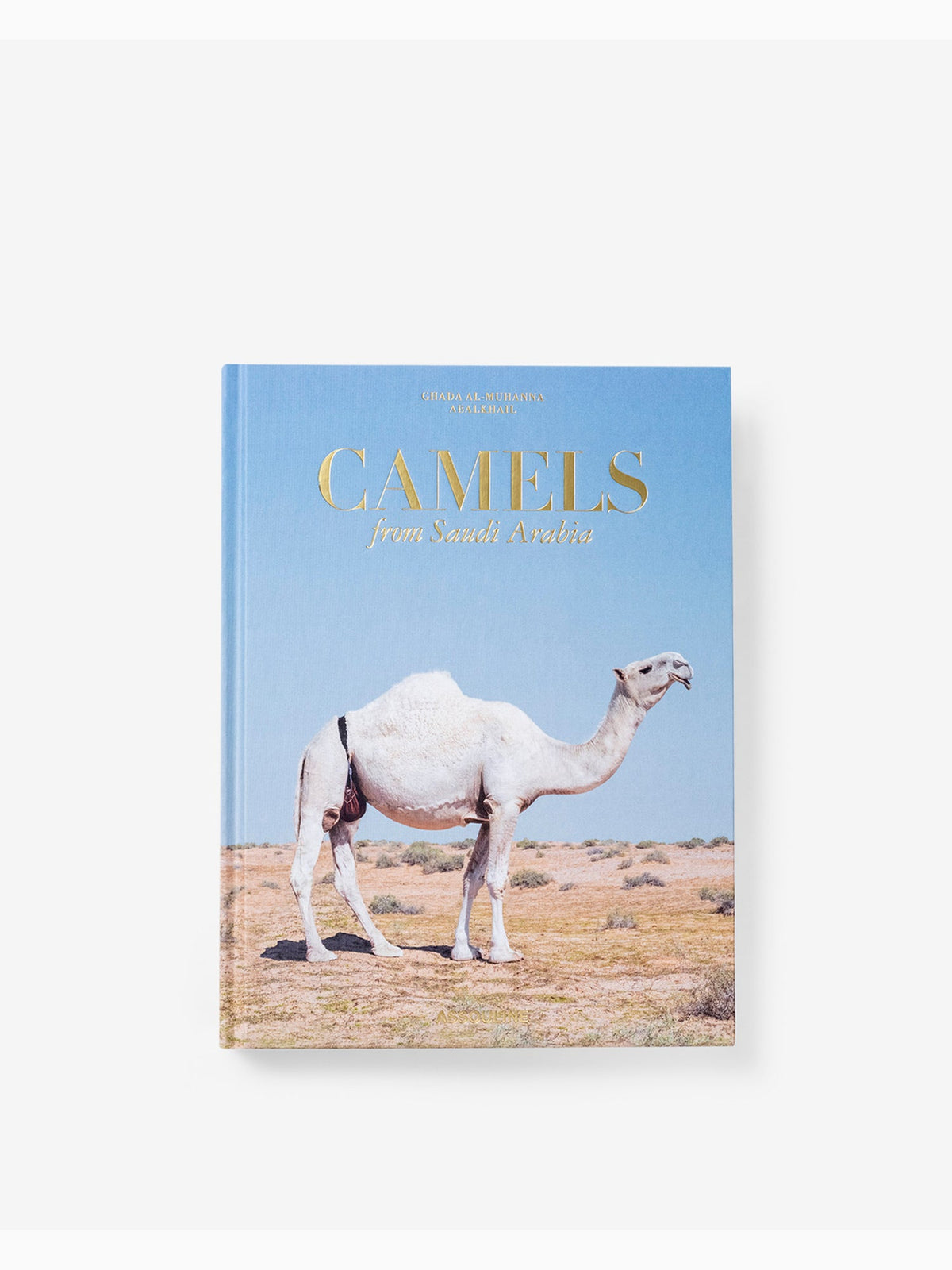 Camels from Saudi Arabia, Assouline (3)