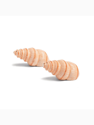 Shell Salt & Pepper Shakers, &Klevering