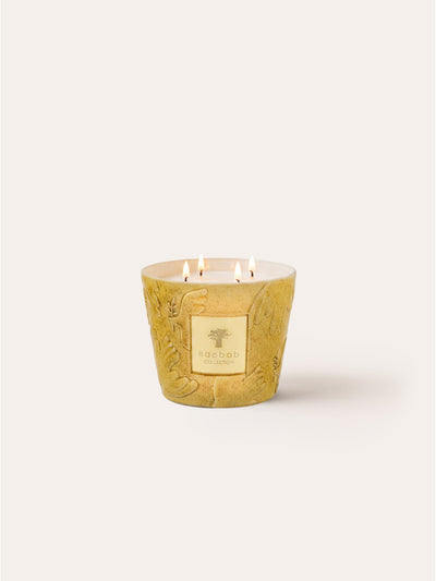 Paz Dove Scented Candle, Max 10, Baobab Collection