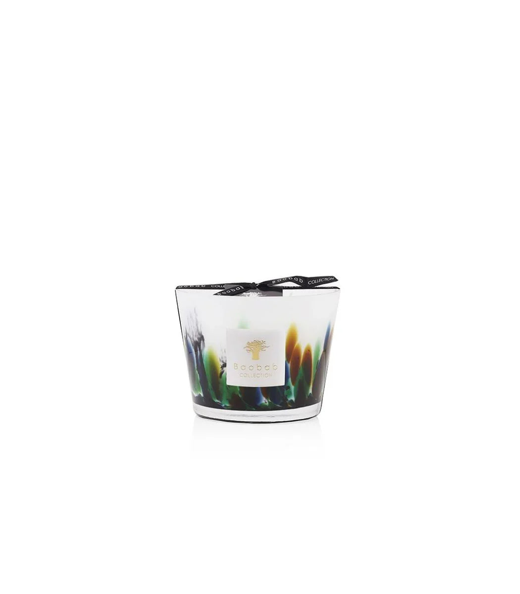 MAX 10 RAINFOREST AMAZONIA