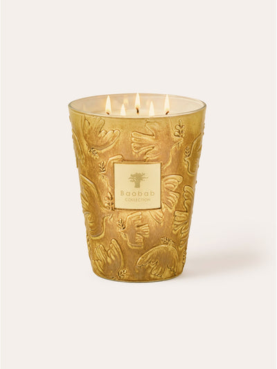 Paz Dove Scented Candle, Max 24, Baobab Collection