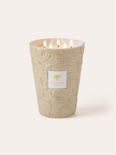 Paz Paloma Scented Candle, Max 24, Baobab Collection