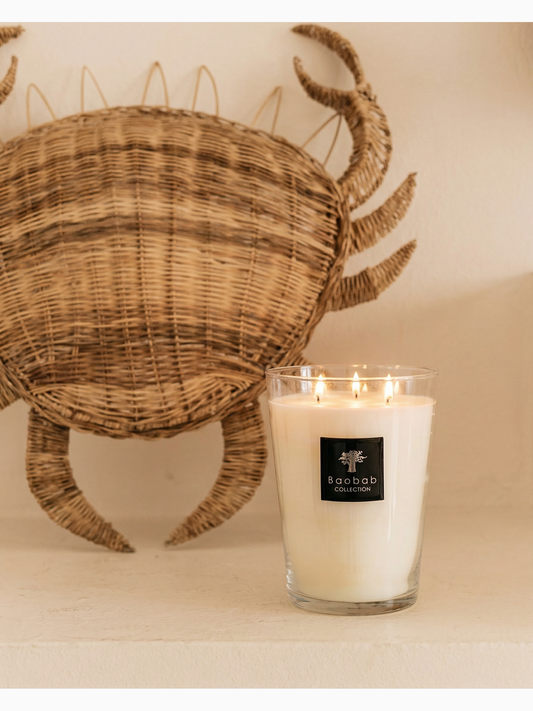 All Seasons Madagascar Vanilla Scented Candle, Max 35, Baobab Collection