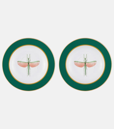 Libellula Soup Plates Set of 2, Green, La DoubleJ