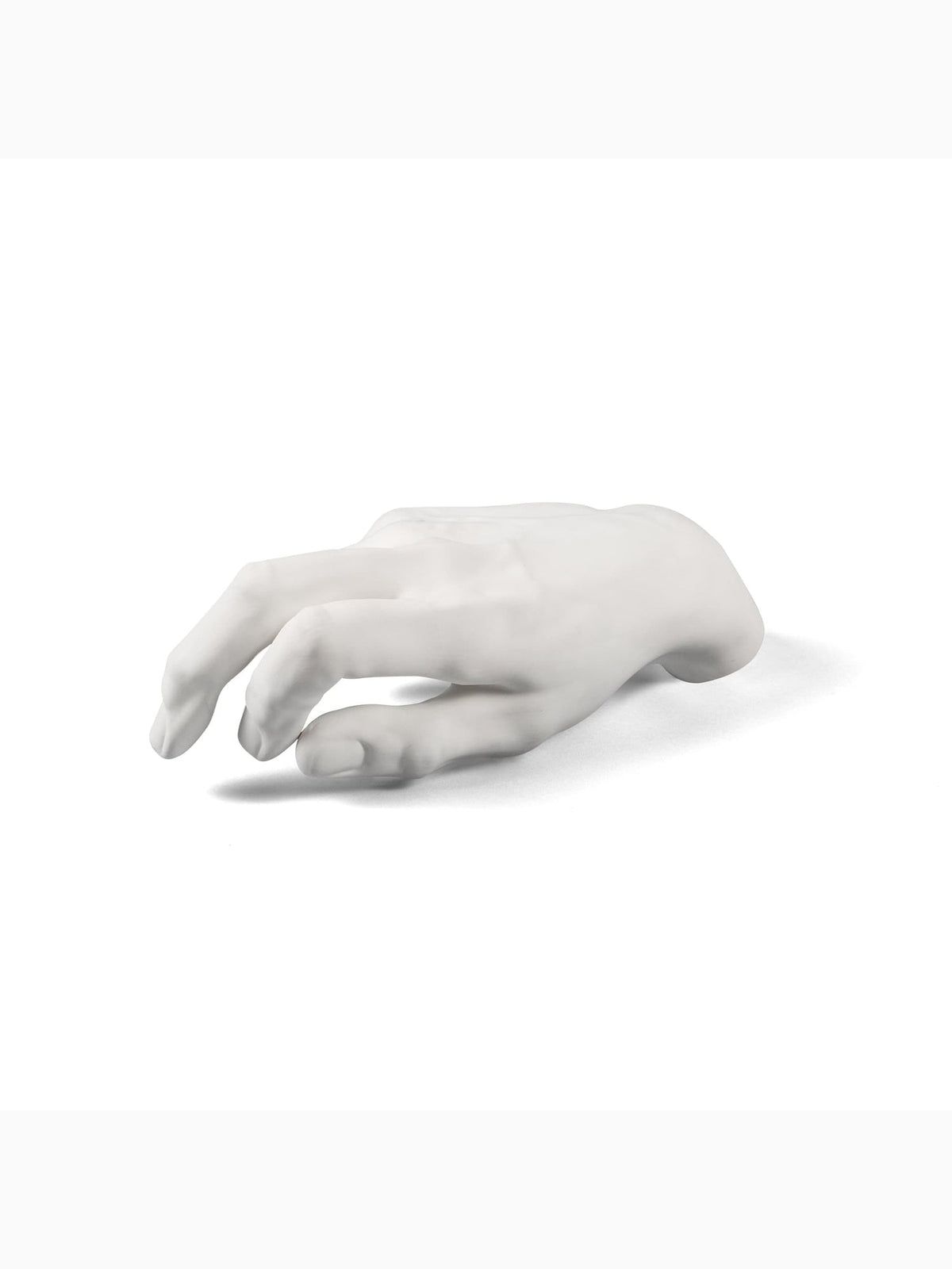 Memorabilia Mvsevm Male Hand, Seletti (2)