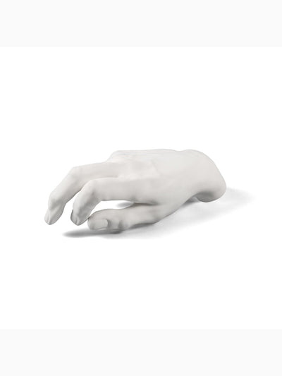 Memorabilia Mvsevm Male Hand, Seletti (2)