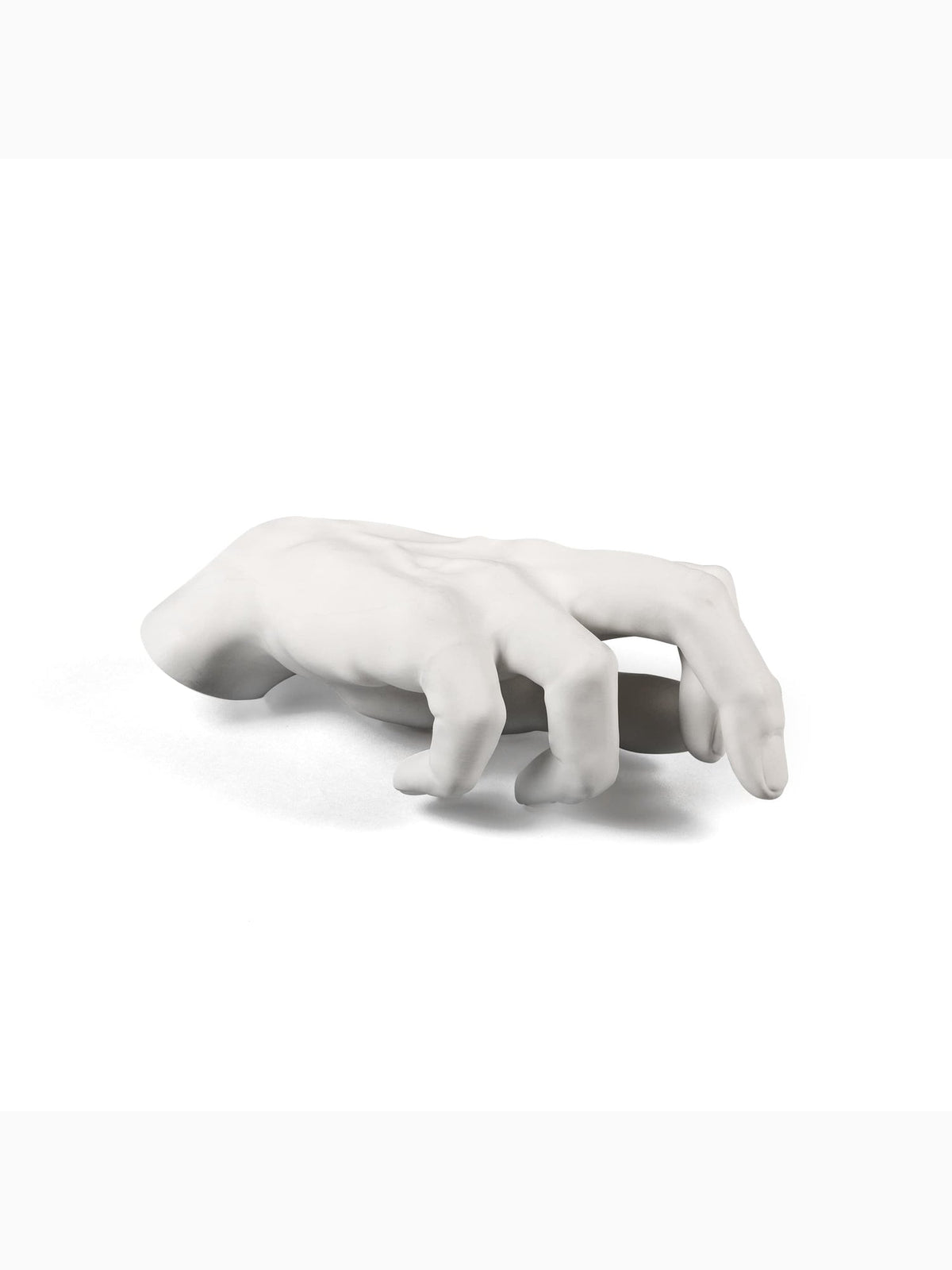 Memorabilia Mvsevm Male Hand, Seletti