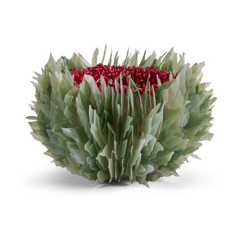 VASE CORAL CAVE