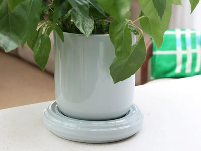 Churros Planter, &Klevering (2)