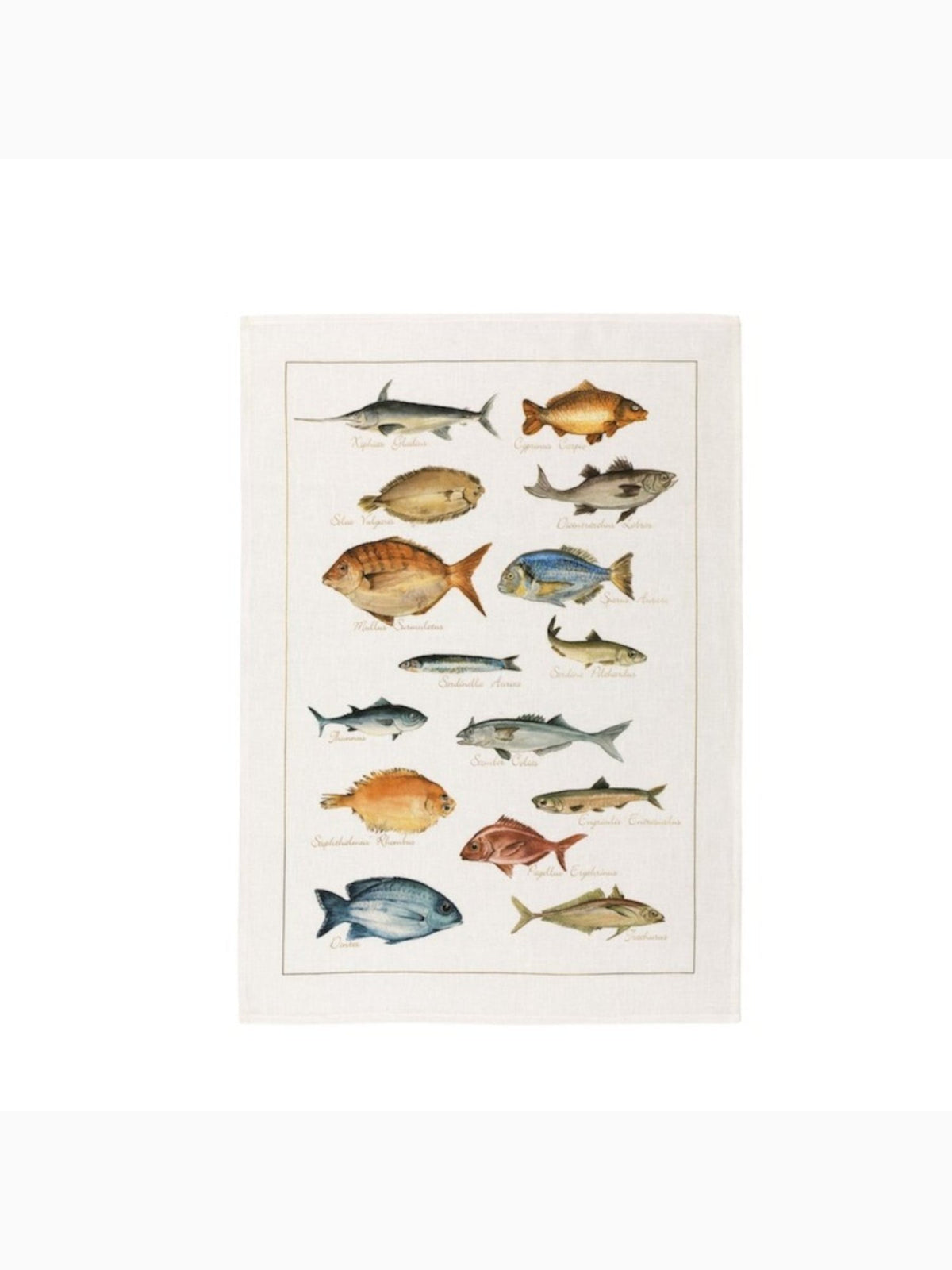 La Mer Pesci Kitchen Towel, Tessitura Toscana Telerie