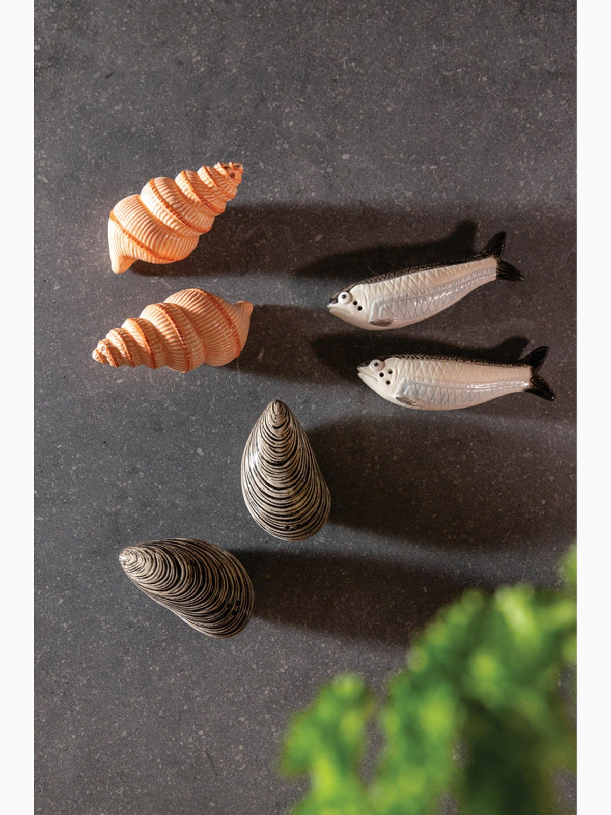 Mussel Salt & Pepper Shakers, &Klevering (3)