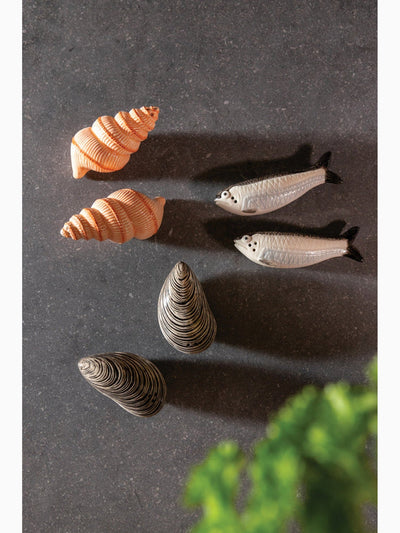 Mussel Salt & Pepper Shakers, &Klevering (3)